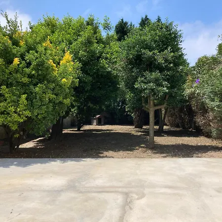 Casa Da Genoveva - Typical House